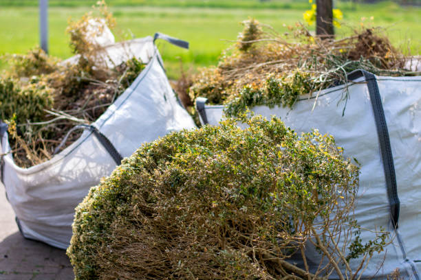 Professional Junk Removal Services in Belle Fourche, SD